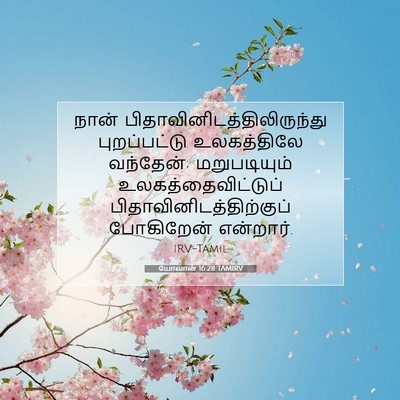 Picture 07 - யோவான் 16:28 TAMIRV - நான் - Bible Verse Picture