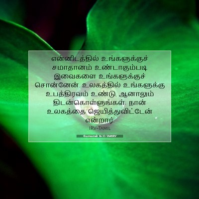 Picture 07 - யோவான் 16:33 TAMIRV - என்னிடத்தில் - Bible Verse Picture
