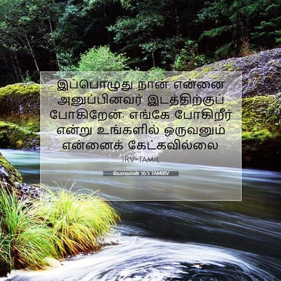 Picture 07 - யோவான் 16:5 TAMIRV - இப்பொழுது நான் - Bible Verse Picture