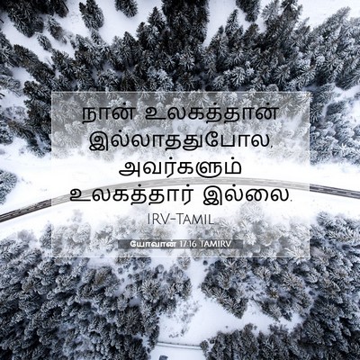 Picture 07 - யோவான் 17:16 TAMIRV - நான் உலகத்தான் - Bible Verse Picture