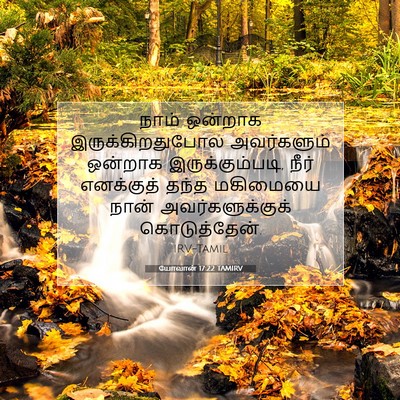 Picture 07 - யோவான் 17:22 TAMIRV - நாம் ஒன்றாக - Bible Verse Picture
