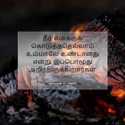 Picture 07 - யோவான் 17:7 TAMIRV - நீர் எனக்குக் - Bible Verse Picture
