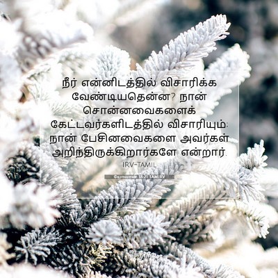 Picture 07 - யோவான் 18:21 TAMIRV - நீர் என்னிடத்தில் - Bible Verse Picture