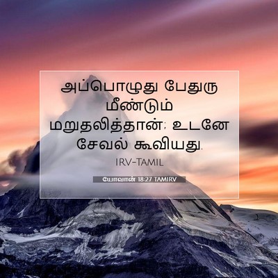Picture 07 - யோவான் 18:27 TAMIRV - அப்பொழுது பேதுரு - Bible Verse Picture