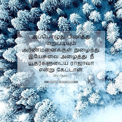 Picture 07 - யோவான் 18:33 TAMIRV - அப்பொழுது - Bible Verse Picture