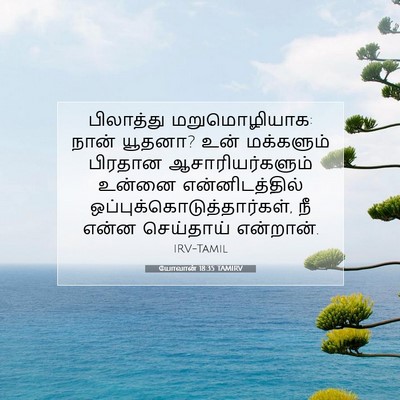 Picture 07 - யோவான் 18:35 TAMIRV - பிலாத்து - Bible Verse Picture