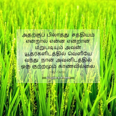 Picture 07 - யோவான் 18:38 TAMIRV - அதற்குப் - Bible Verse Picture