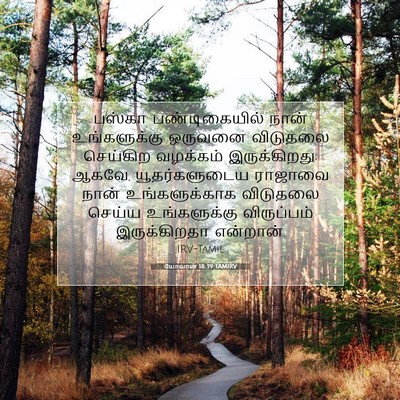 Picture 07 - யோவான் 18:39 TAMIRV - பஸ்கா பண்டிகையில் - Bible Verse Picture