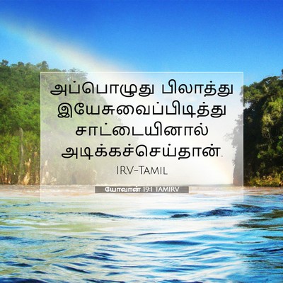 Picture 07 - யோவான் 19:1 TAMIRV - அப்பொழுது - Bible Verse Picture
