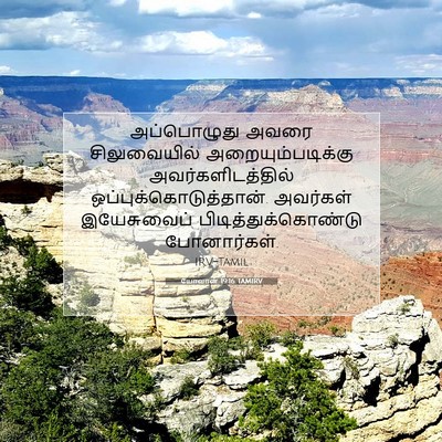 Picture 07 - யோவான் 19:16 TAMIRV - அப்பொழுது அவரை - Bible Verse Picture