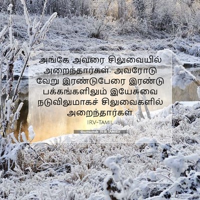 Picture 07 - யோவான் 19:18 TAMIRV - அங்கே அவரை - Bible Verse Picture