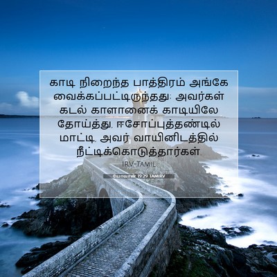 Picture 07 - யோவான் 19:29 TAMIRV - காடி நிறைந்த - Bible Verse Picture