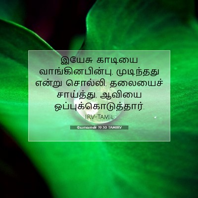 Picture 07 - யோவான் 19:30 TAMIRV - இயேசு காடியை - Bible Verse Picture