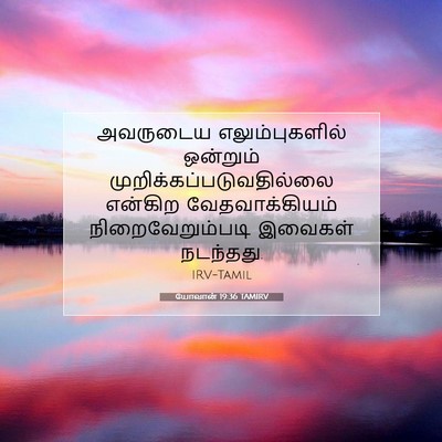 Picture 07 - யோவான் 19:36 TAMIRV - அவருடைய - Bible Verse Picture