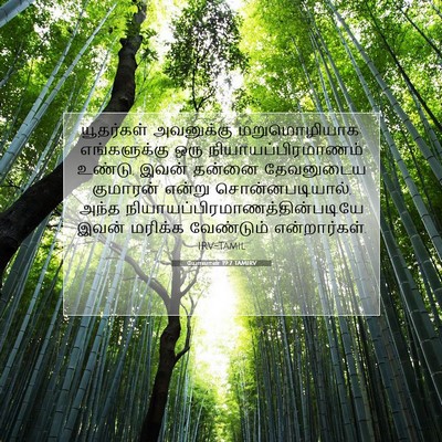 Picture 07 - யோவான் 19:7 TAMIRV - யூதர்கள் அவனுக்கு - Bible Verse Picture