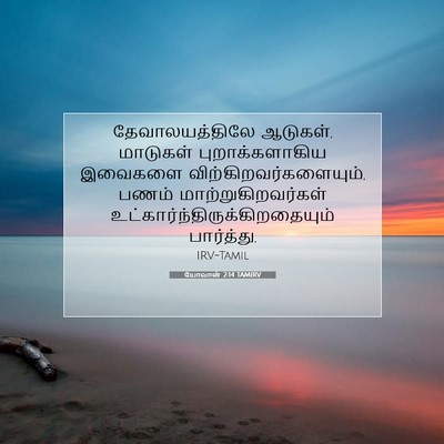 Picture 07 - யோவான் 2:14 TAMIRV - தேவாலயத்திலே - Bible Verse Picture