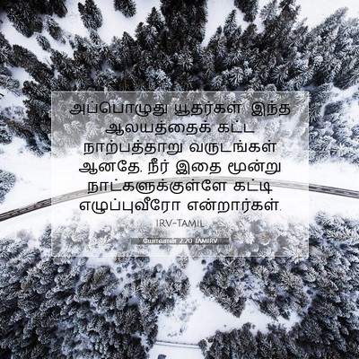 Picture 07 - யோவான் 2:20 TAMIRV - அப்பொழுது - Bible Verse Picture