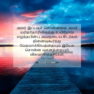 Picture 07 - யோவான் 2:22 TAMIRV - அவர் இப்படிச் - Bible Verse Picture