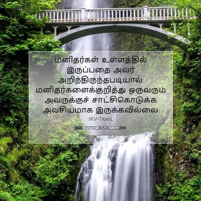 Picture 07 - யோவான் 2:25 TAMIRV - மனிதர்கள் - Bible Verse Picture
