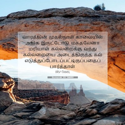 Picture 07 - யோவான் 20:1 TAMIRV - வாரத்தின் - Bible Verse Picture