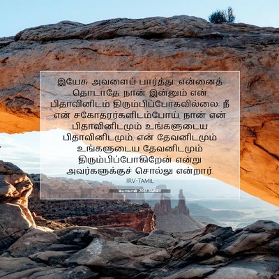 Picture 07 - யோவான் 20:17 TAMIRV - இயேசு அவளைப் - Bible Verse Picture