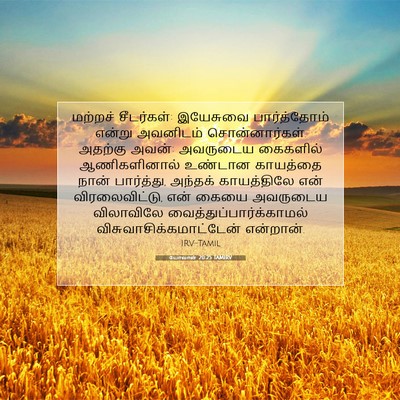 Picture 07 - யோவான் 20:25 TAMIRV - மற்றச் சீடர்கள்: - Bible Verse Picture