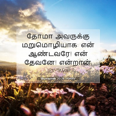 Picture 07 - யோவான் 20:28 TAMIRV - தோமா அவருக்கு - Bible Verse Picture