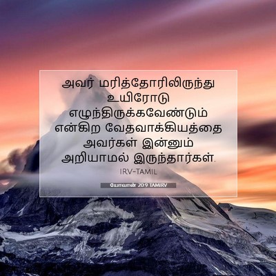 Picture 07 - யோவான் 20:9 TAMIRV - அவர் - Bible Verse Picture
