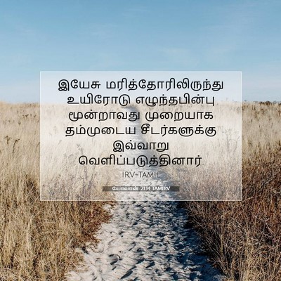 Picture 07 - யோவான் 21:14 TAMIRV - இயேசு - Bible Verse Picture