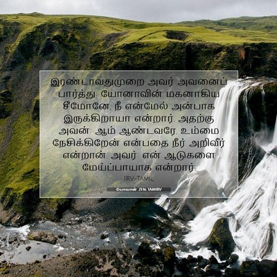 Picture 07 - யோவான் 21:16 TAMIRV - இரண்டாவதுமுறை - Bible Verse Picture