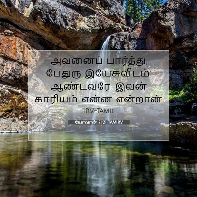 Picture 07 - யோவான் 21:21 TAMIRV - அவனைப் பார்த்து, - Bible Verse Picture