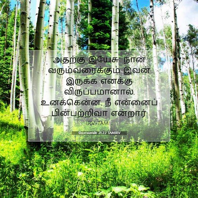 Picture 07 - யோவான் 21:22 TAMIRV - அதற்கு இயேசு: நான் - Bible Verse Picture