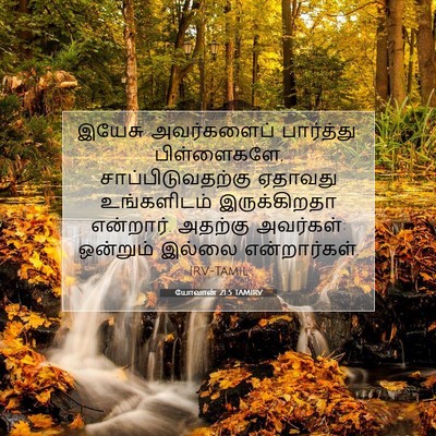 Picture 07 - யோவான் 21:5 TAMIRV - இயேசு அவர்களைப் - Bible Verse Picture