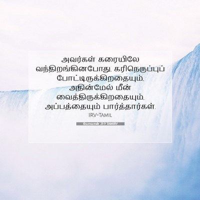 Picture 07 - யோவான் 21:9 TAMIRV - அவர்கள் கரையிலே - Bible Verse Picture