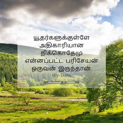 Picture 07 - யோவான் 3:1 TAMIRV - யூதர்களுக்குள்ளே - Bible Verse Picture