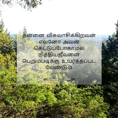 Picture 07 - யோவான் 3:15 TAMIRV - தன்னை - Bible Verse Picture