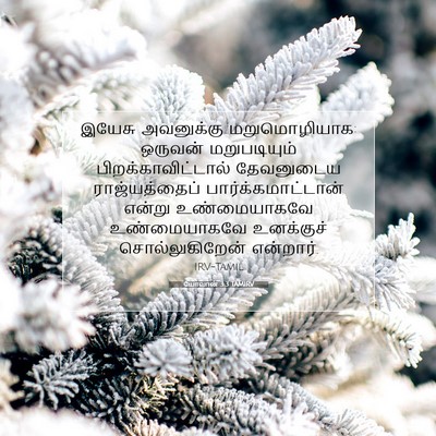 Picture 07 - யோவான் 3:3 TAMIRV - இயேசு அவனுக்கு - Bible Verse Picture