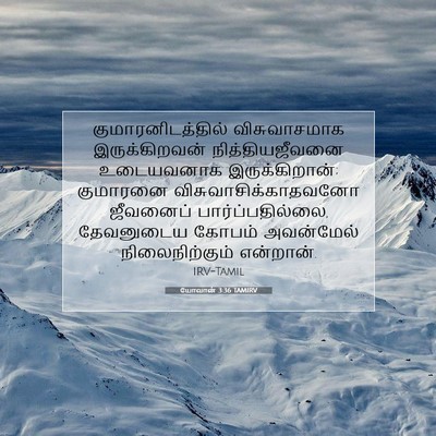 Picture 07 - யோவான் 3:36 TAMIRV - குமாரனிடத்தில் - Bible Verse Picture