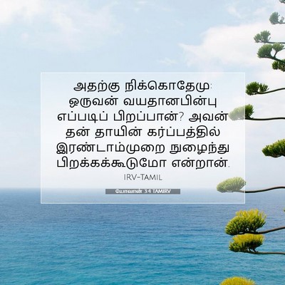 Picture 07 - யோவான் 3:4 TAMIRV - அதற்கு - Bible Verse Picture