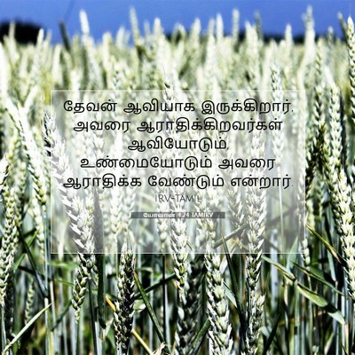 Picture 07 - யோவான் 4:24 TAMIRV - தேவன் ஆவியாக - Bible Verse Picture