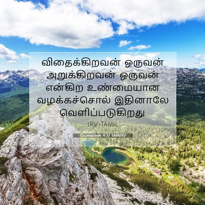 Picture 07 - யோவான் 4:37 TAMIRV - விதைக்கிறவன் - Bible Verse Picture