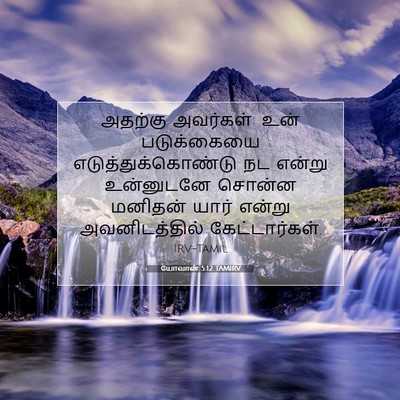 Picture 07 - யோவான் 5:12 TAMIRV - அதற்கு அவர்கள்: - Bible Verse Picture