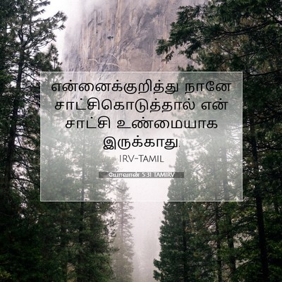 Picture 07 - யோவான் 5:31 TAMIRV - என்னைக்குறித்து - Bible Verse Picture