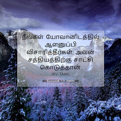 Picture 07 - யோவான் 5:33 TAMIRV - நீங்கள் - Bible Verse Picture