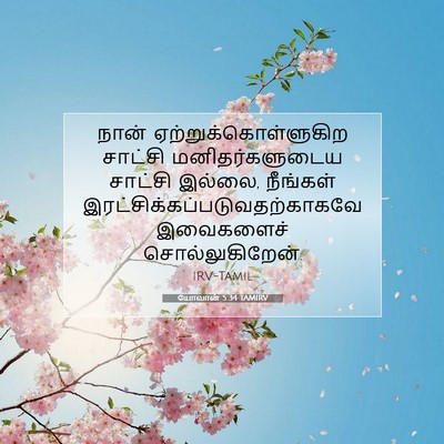 Picture 07 - யோவான் 5:34 TAMIRV - நான் - Bible Verse Picture