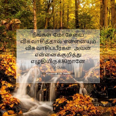Picture 07 - யோவான் 5:46 TAMIRV - நீங்கள் மோசேயை - Bible Verse Picture