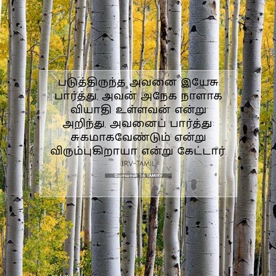 Picture 07 - யோவான் 5:6 TAMIRV - படுத்திருந்த அவனை - Bible Verse Picture