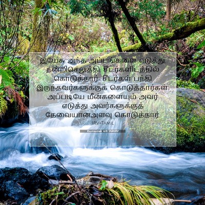 Picture 07 - யோவான் 6:11 TAMIRV - இயேசு அந்த - Bible Verse Picture