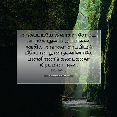 Picture 07 - யோவான் 6:13 TAMIRV - அந்தப்படியே - Bible Verse Picture