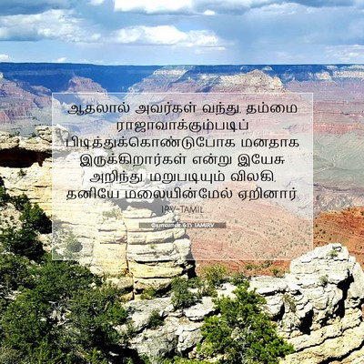 Picture 07 - யோவான் 6:15 TAMIRV - ஆதலால் அவர்கள் - Bible Verse Picture